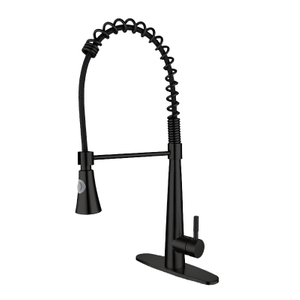 صنبور المطبخ الحديث باللون الأسود غير اللامع بمقبض واحد وفتحة واحدة