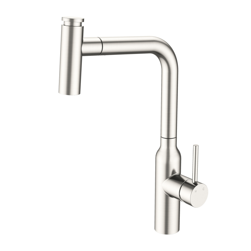 صنابير المطبخ مع البخاخ