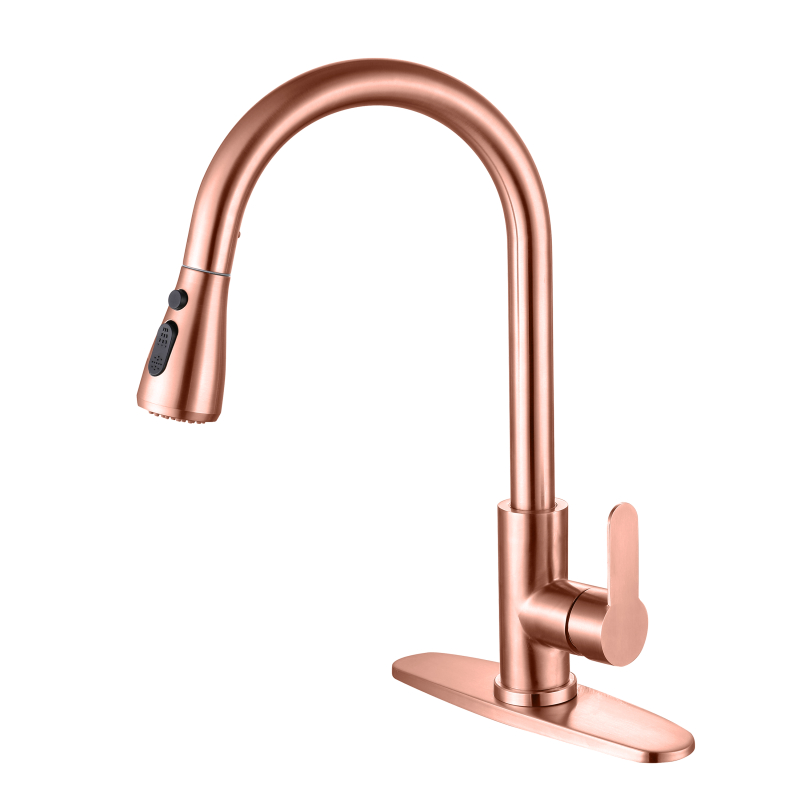 صنبور المطبخ خالية من الرصاص